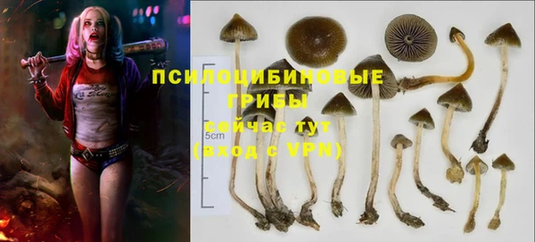 spice Алексеевка