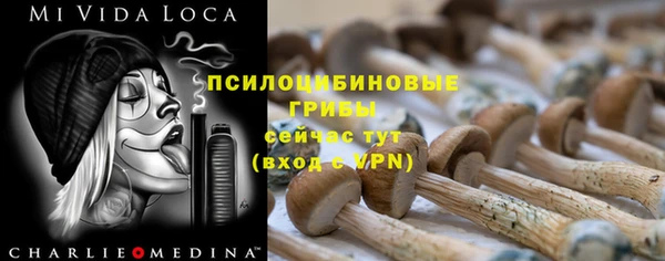 индика Абдулино