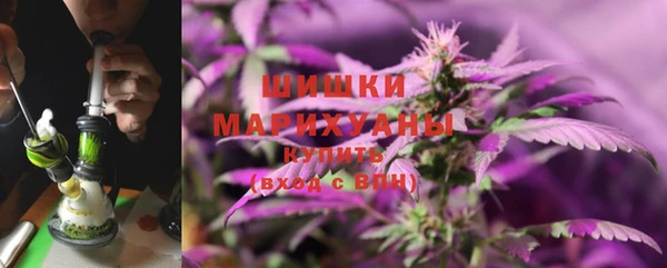 индика Абдулино