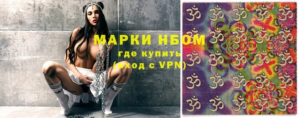 стаф Абаза