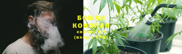 бошки Абинск