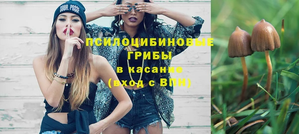 стаф Абаза