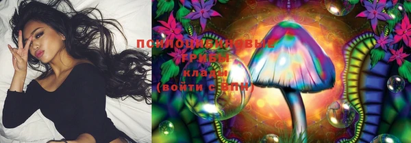 индика Абдулино